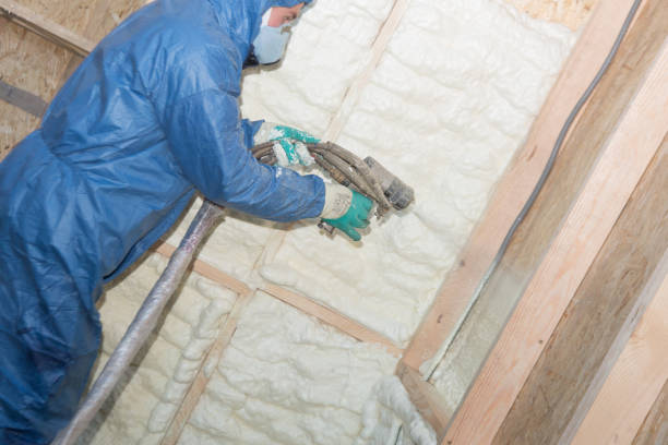 Best Blown-In Insulation  in University Of Lifornia Davis, CA